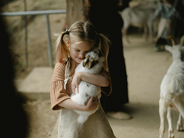 Raspisan Javni poziv za nabavku mašina i opreme za primarnu stočarsku proizvodnju